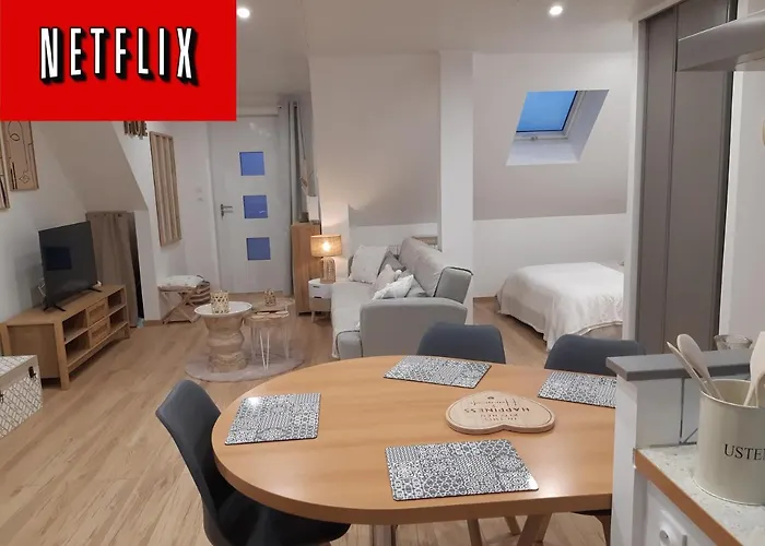Studio Cosy Spacieux Lumineux Avec Terrasse