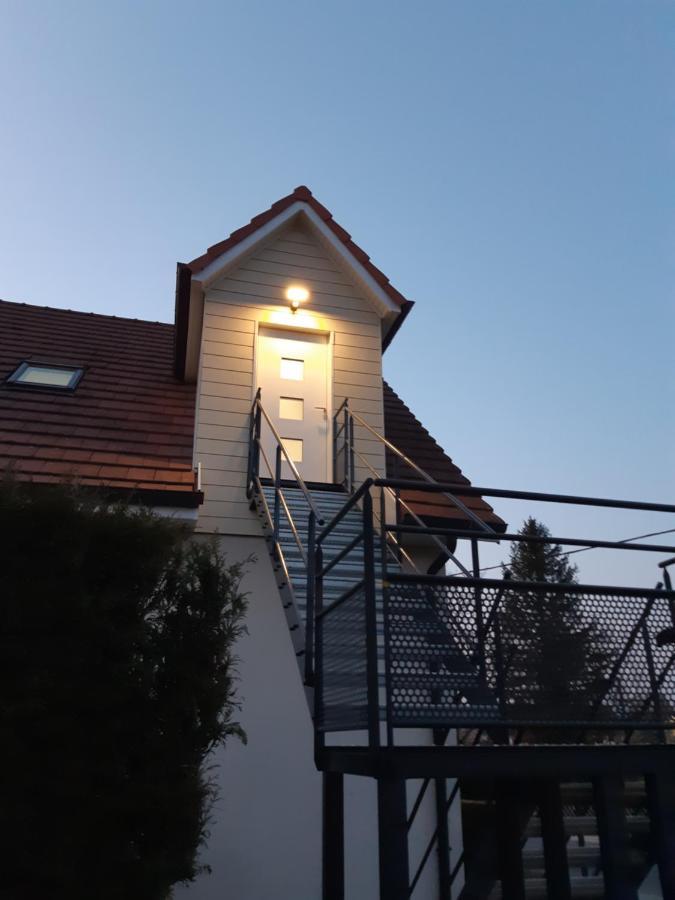 Cosy Spacieux Lumineux Avec Terrasse *