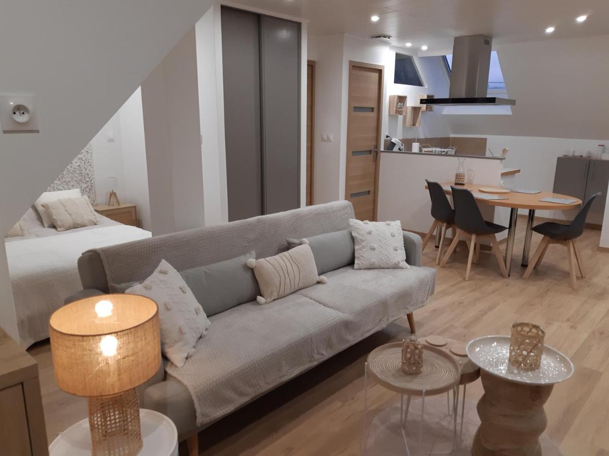 Cosy Spacieux Lumineux Avec Terrasse