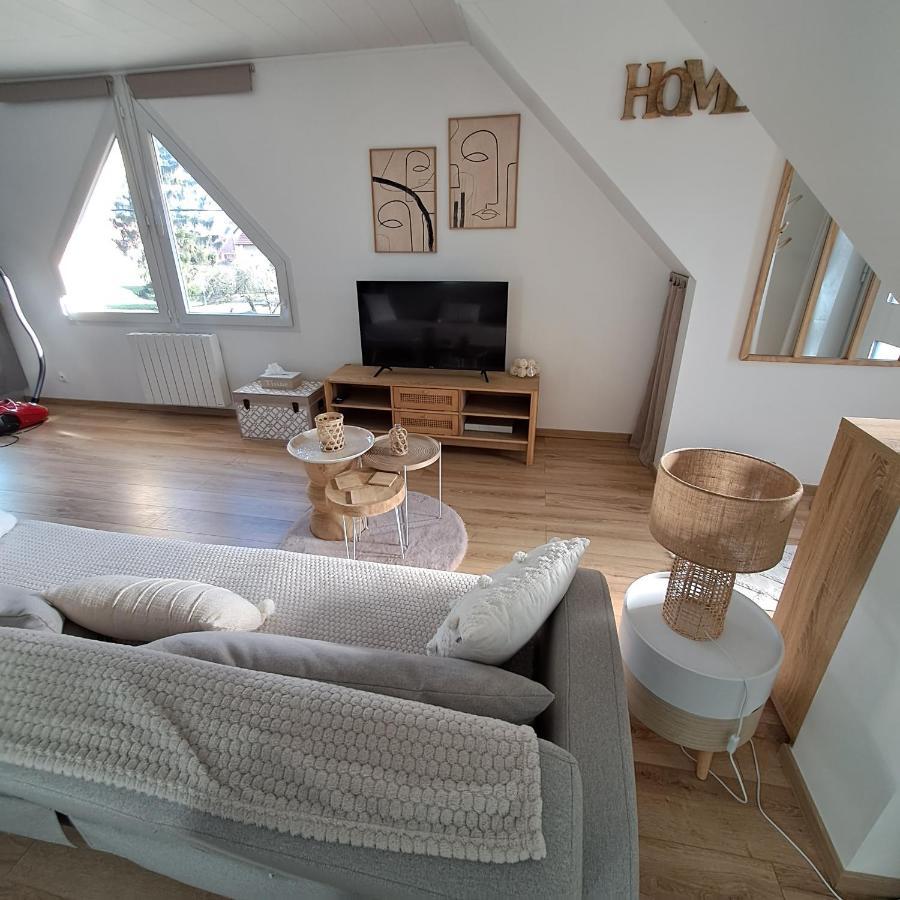 Cosy Spacieux Lumineux Avec Terrasse